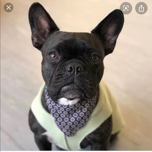 Meet your Posher, Derrick